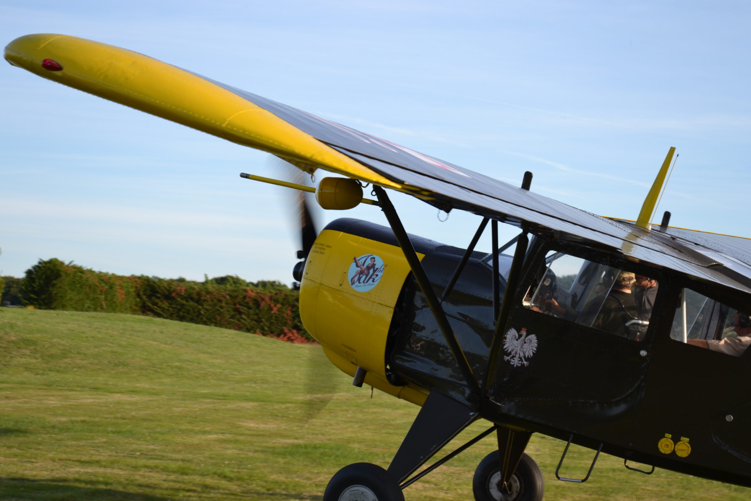 Yak 12